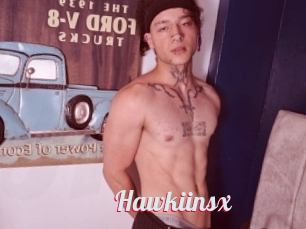 Hawkiinsx