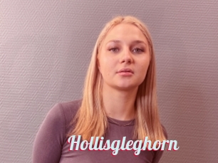 Hollisgleghorn