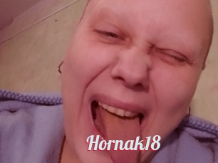 Hornak18