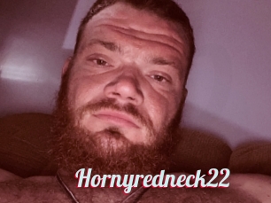 Hornyredneck22