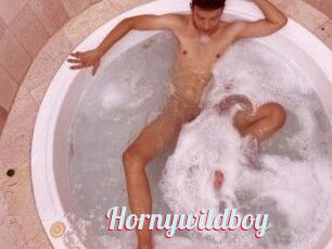 Hornywildboy