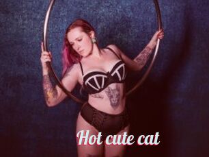 Hot_cute_cat