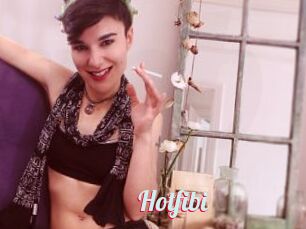 Hotfibi