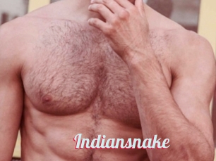 Indiansnake