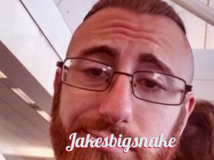 Jakesbigsnake