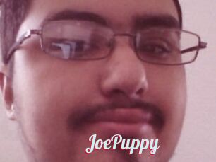 JoePuppy