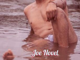 Joe_Novel