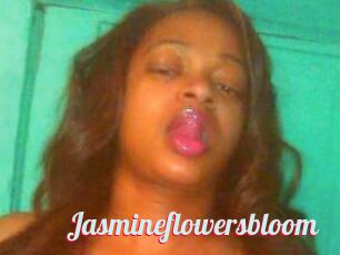 Jasmineflowersbloom