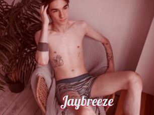 Jaybreeze