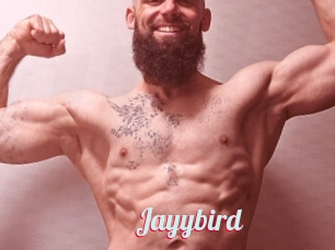 Jayybird