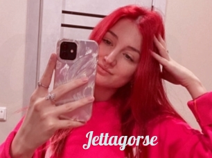 Jettagorse