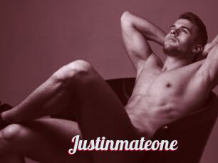 Justinmateone