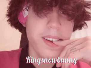 Kingsnowbunny