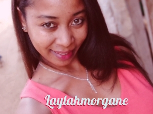 Laylahmorgane