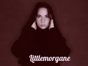 Littlemorgane