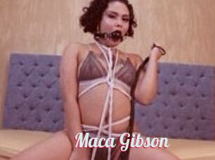 Maca_Gibson