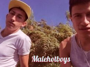 Malehotboys