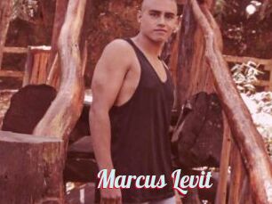 Marcus_Levit