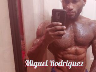 Miguel_Rodriguez