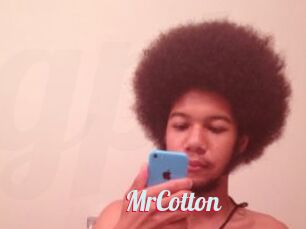 MrCotton