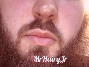 MrHairyJr