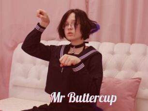 Mr_Buttercup