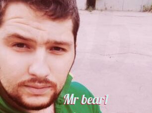 Mr_bear1