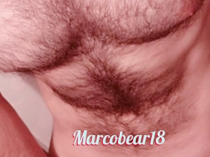 Marcobear18