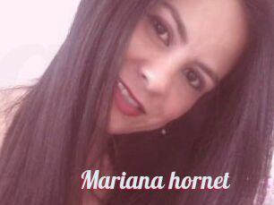 Mariana_hornet