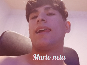 Mario_neta