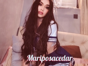 Mariposacedar