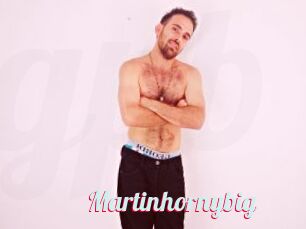 Martinhornybig