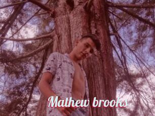 Mathew_brooks