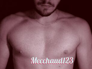 Mecchaud123