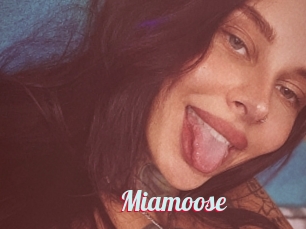 Miamoose