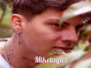 Miketaylor