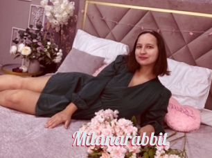 Milanarabbit