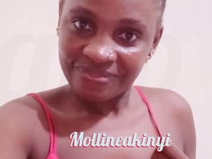 Mollineakinyi