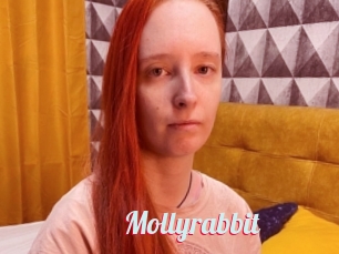 Mollyrabbit