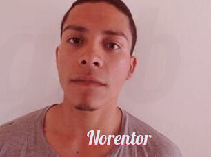 Noren_tor