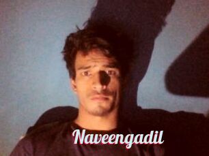 Naveengadil