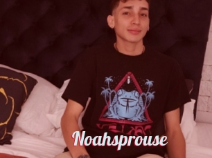 Noahsprouse