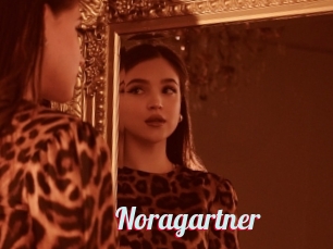 Noragartner