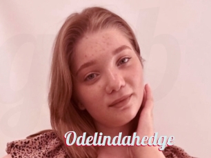 Odelindahedge