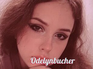 Odelynbucher