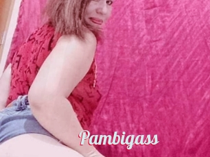 Pambigass