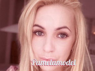 Pamelamodel