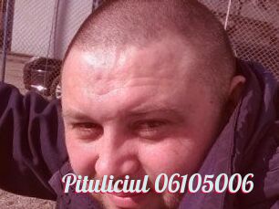 Pituliciul-06105006