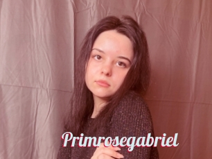 Primrosegabriel