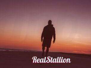 RealStallion